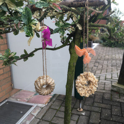 Vogelfutter gebastelt Vogelfutter gebastelt