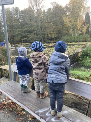 Mühlenteich besuchen